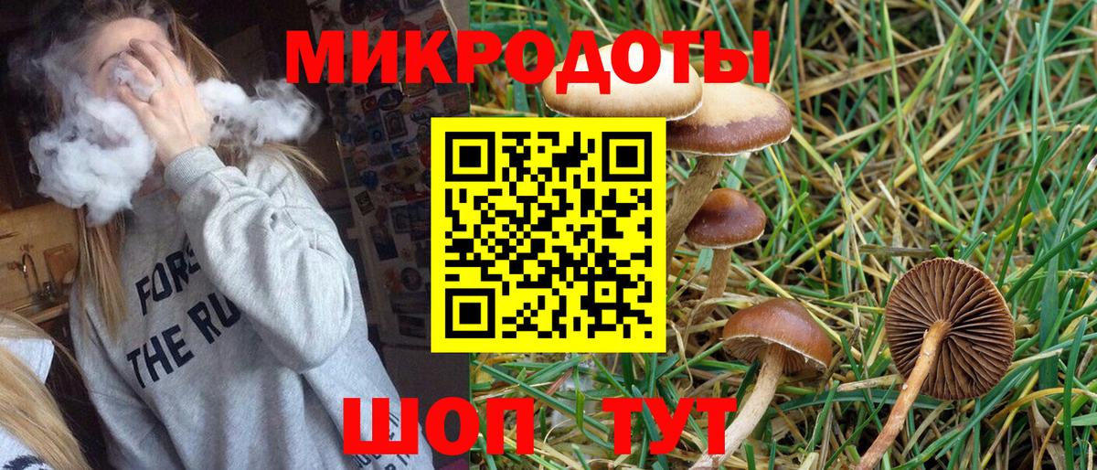 Донецк  Галлюциногенные грибы Psilocybe  Вход с VPN 